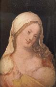 Albrecht Durer The Virgin suckling the Child oil painting reproduction